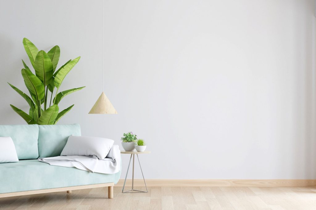 natural interior